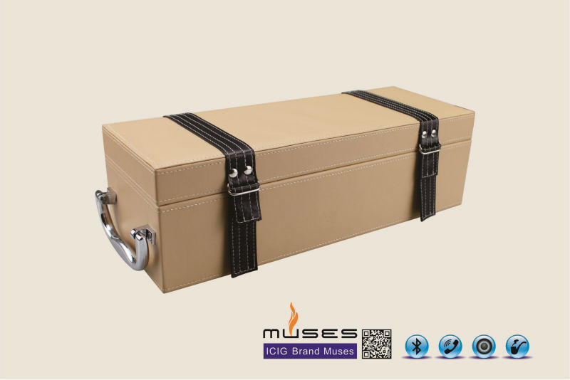 ICIG Muses mod Bluetooth muses mod with wholesale price
