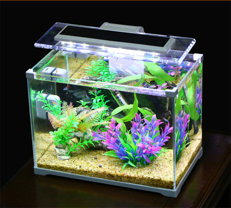 Aquarium Sunsun Low Iron Glass Cube Garden Mini Fish Tank Fish Aquarium Office Table Buy Fish