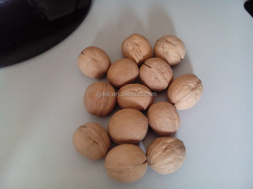 walnuts and walnut kernels