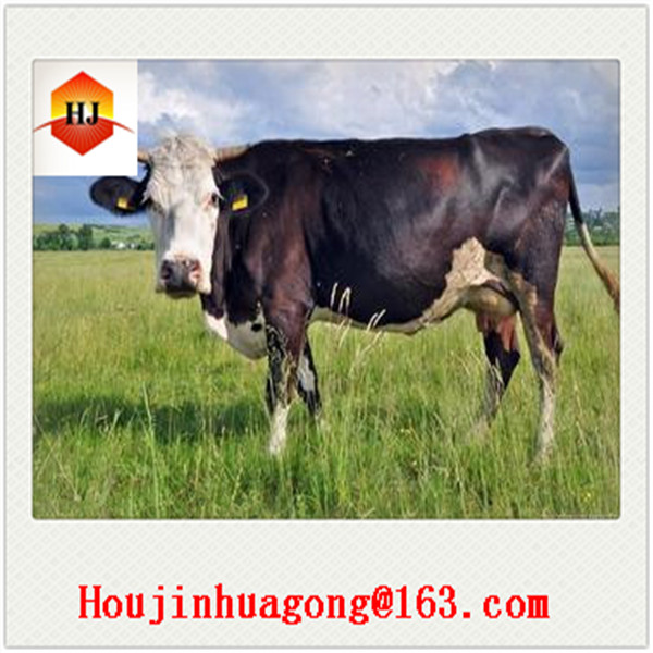 Whey Protein powder with fresh store and competitive prices