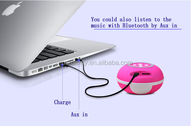 BS-Z001 (8)