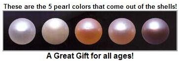 5 pearls.jpg