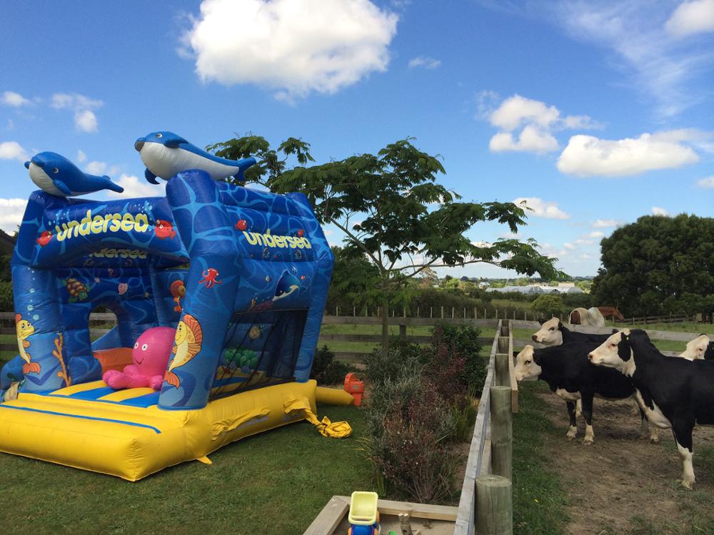 bounce house (24).jpg