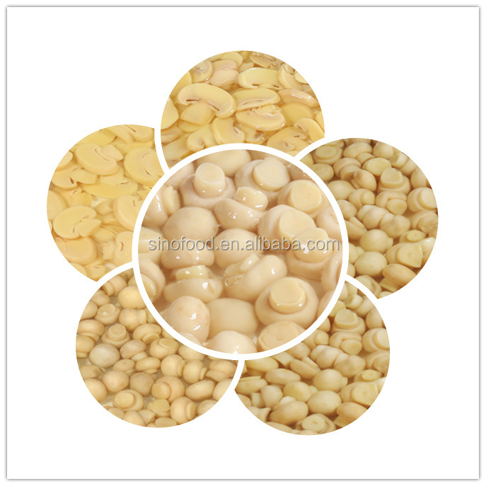 canned mushroom in brine with competitive mushroom price haccp certified products