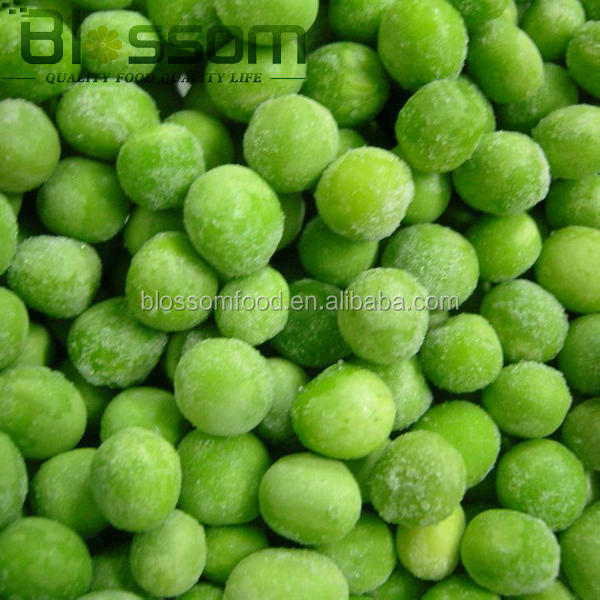 Spring new crop fresh frozen spring bulk frozen iqf green peas
