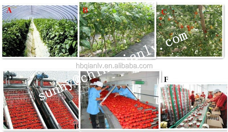 220L steel drums tomato paste