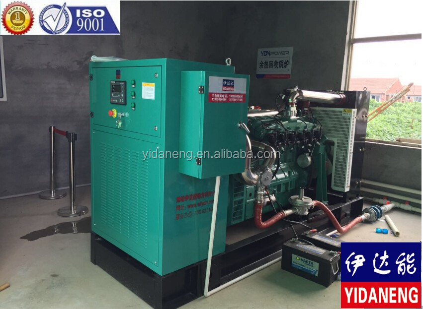 120kw Cow Dung Biogas plant Manufacture