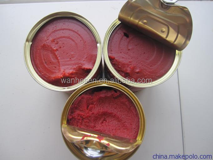 Gino tomato paste bulk price in drum supplier