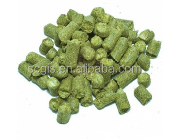 Hops pellet/hops extract/hops flower P.E