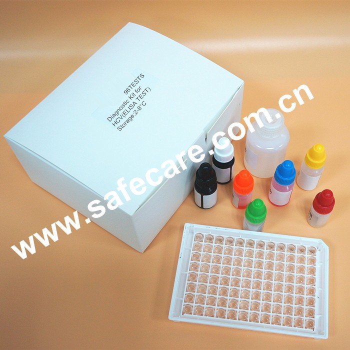 Diagnostic Test Kit For Hbsag Hepatitis B Virus Surface Antigen Elisa