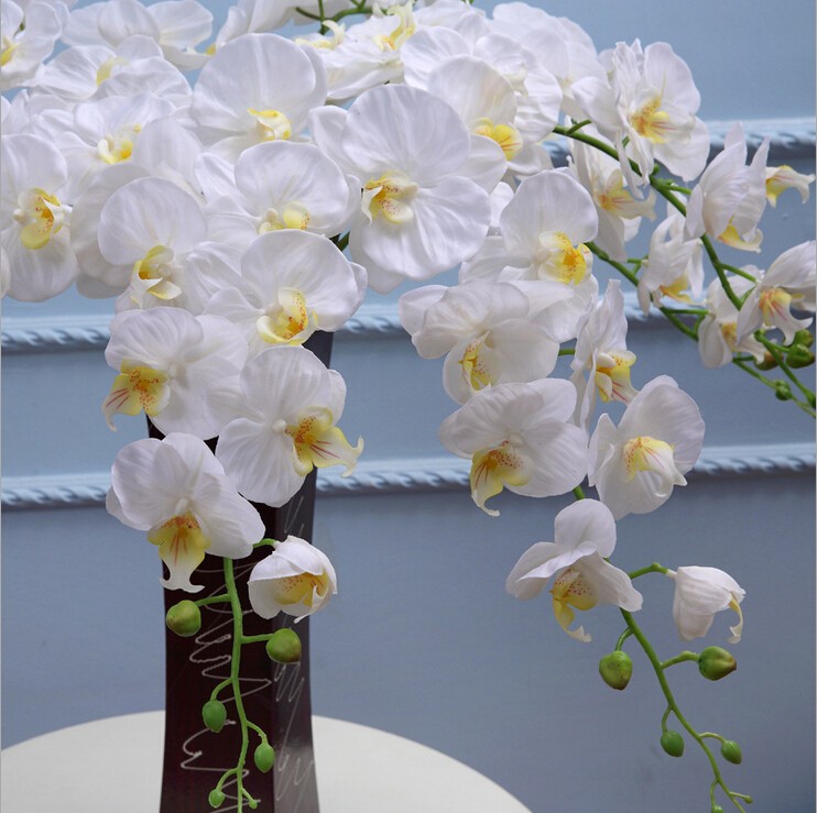 工場販売人工蘭植物人工蘭の花仕入れ・メーカー・工場