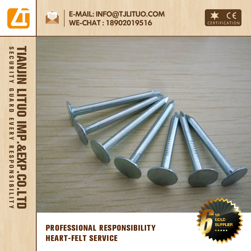 Galvanized Big Head Nail Round Big Head Nails Lead Head Nail Tianjin