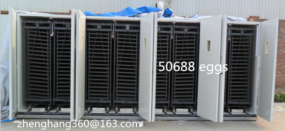 CE approved high quality 50688 eggs large capacity laboratory incubator