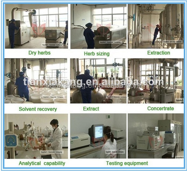 Factory Hot Selling Low Price Organic 10%-20% Theobromine Cocoa Extract Powder,Cocoa Bean Extract Powder, Natural Cocoa Powder