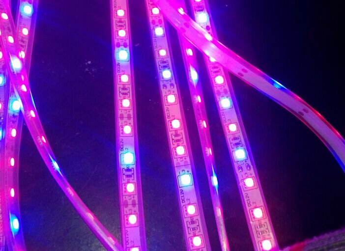 Ledストリップライト5050高品質防水ledストリップを育てる主導仕入れ・メーカー・工場