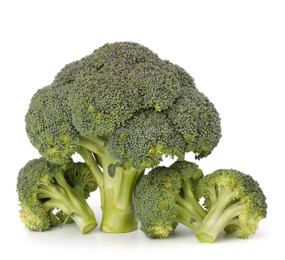 2014 new fresh reid farms broccoli for exporting A grade