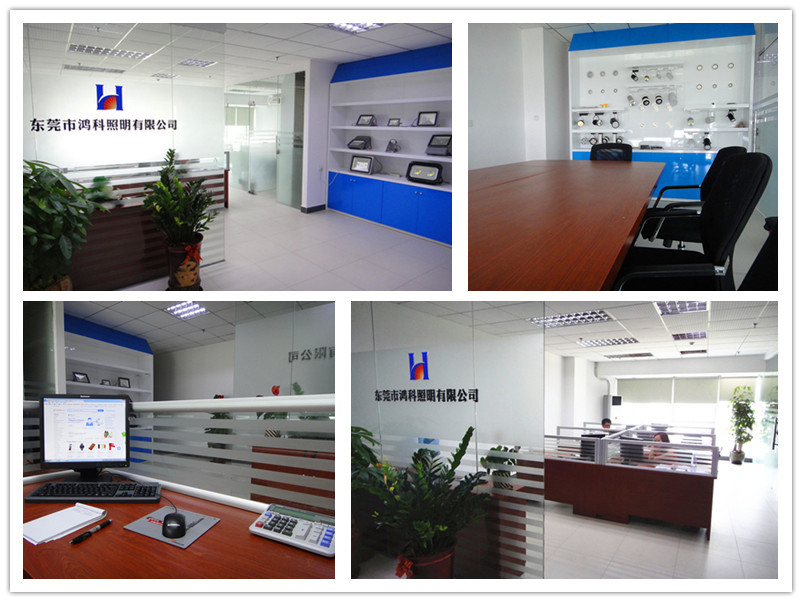 China Supplier Bridgelux 45 mil Chip 3w Cool White High Power LED 10000K