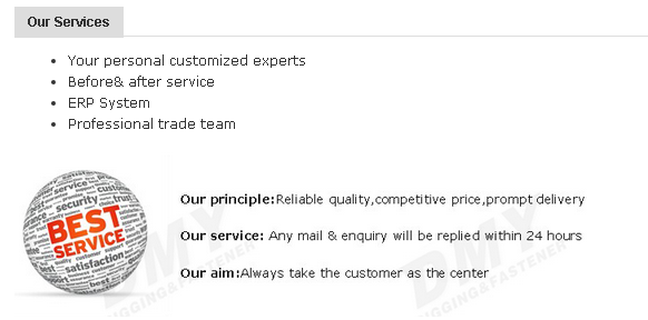our service.png
