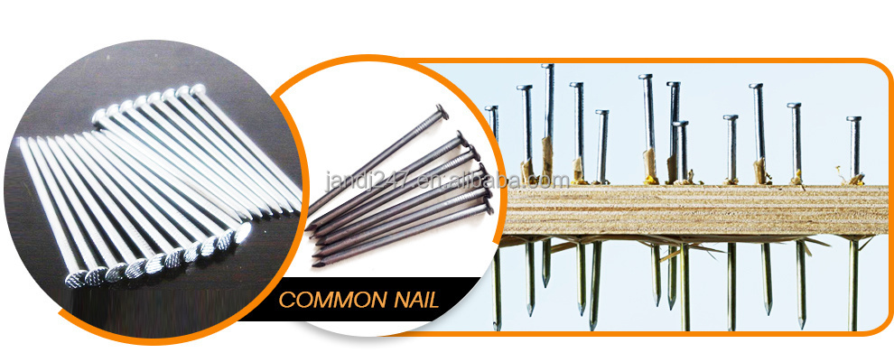 Common nails.jpg