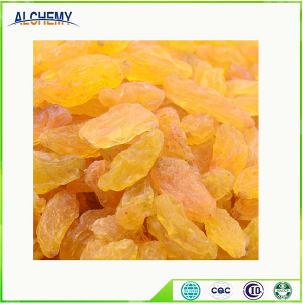 K2 golden raisin.jpg