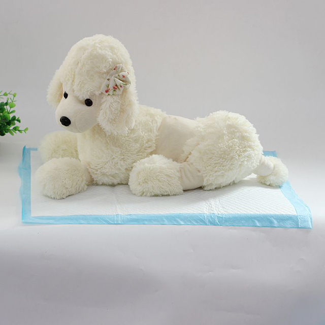 pet traning pad.jpg