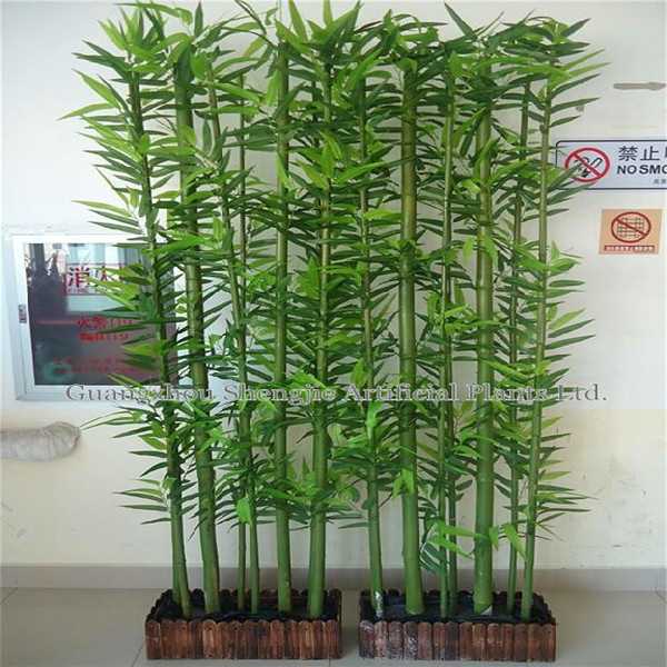 Bambú bonsai evergreen casa/jardÃn/construccion centro/juegos/sala ... Juegos de sala verde