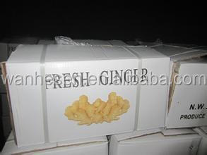 bulk fresh ginger, Chinese Ginger