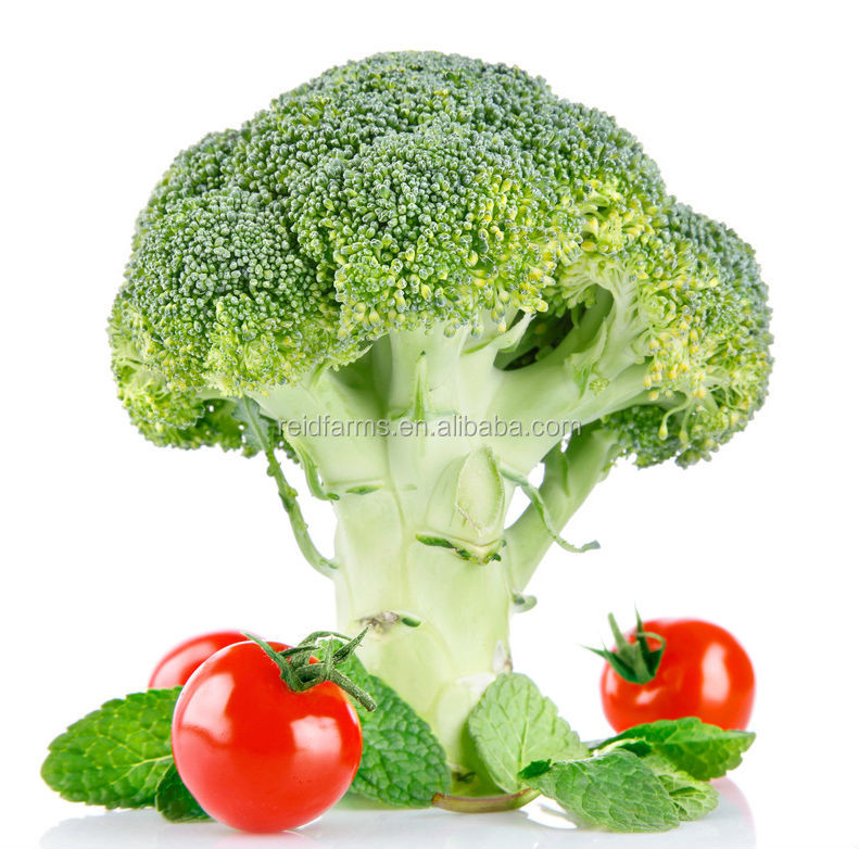 2014 new fresh reid farms broccoli for exporting A grade