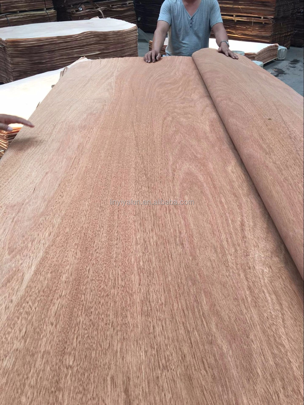 gurjan  veneer     1.jpg