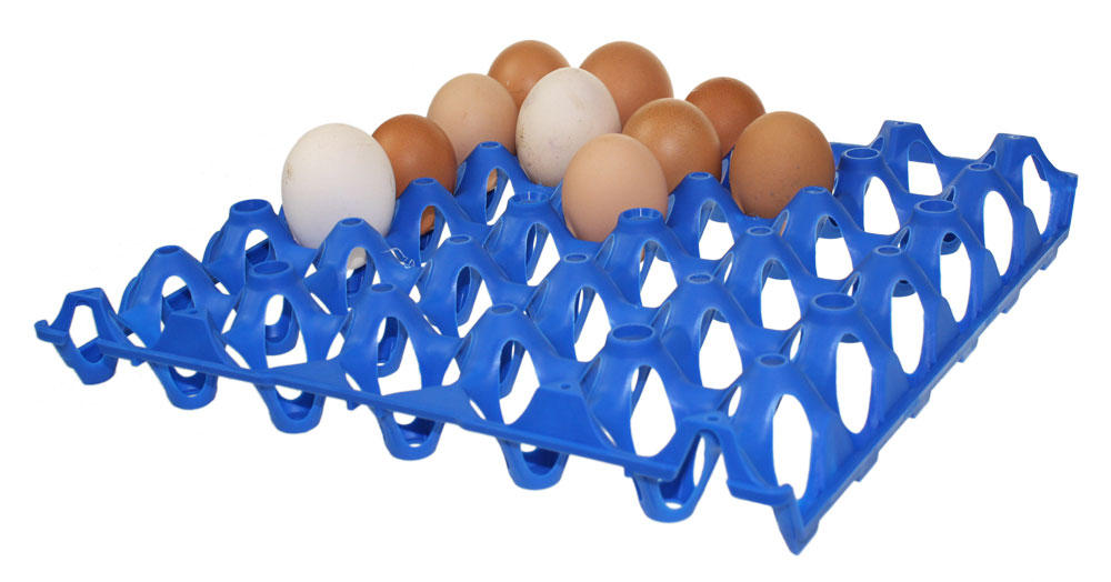 plastic incubator egg tray