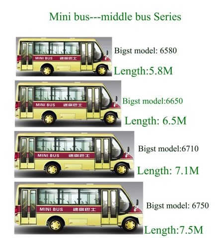 middle bus series.jpg