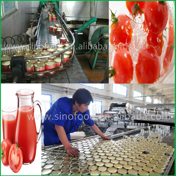 Bulk Buy Chinese canned tomato paste in sauce