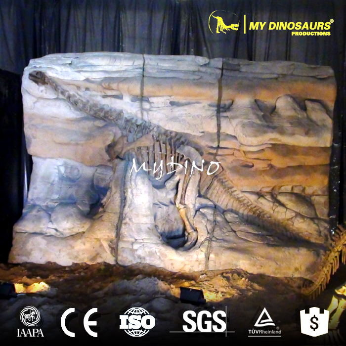 dino fossil wall1.jpg