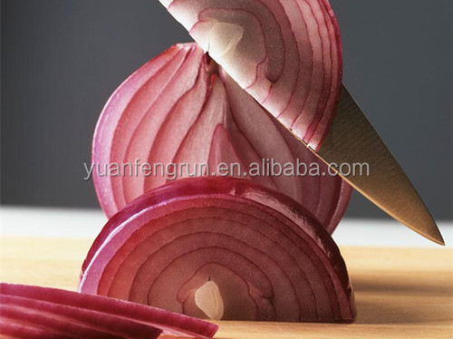 Fresh red onion