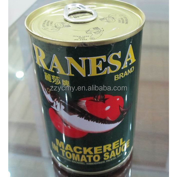 canned mackerel names of fish in tomato sauce