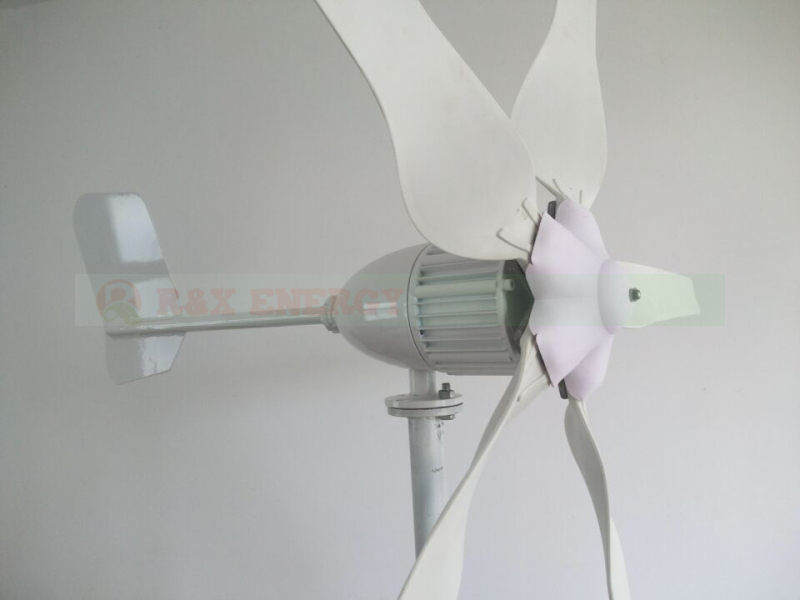 SF-1000-5-6.jpg