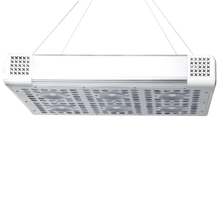 水耕温室3gp王led成長ライト、3ワットcreエピスターチップ高電力400ワット800ワット1200ワットled成長ライトパネルランプ仕入れ・メーカー・工場