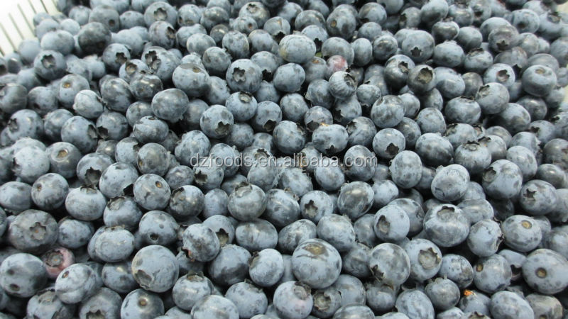 blueberry sorting machine