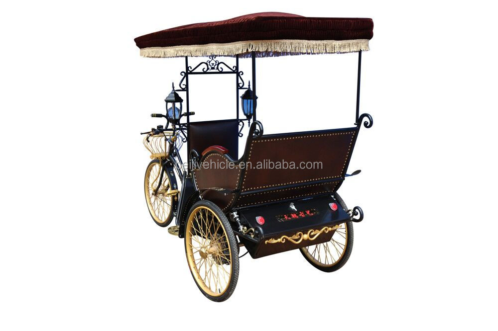 rickshaw 2.jpg