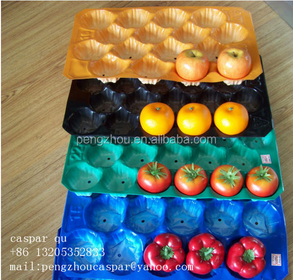 fruit and vegetable pp serving tray