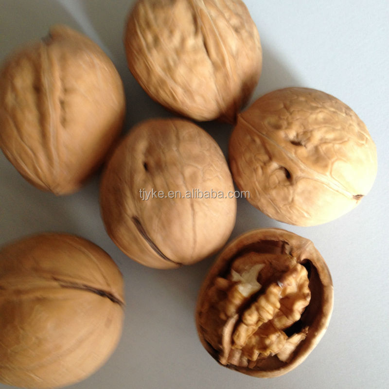 walnut kernels with good quality for sale