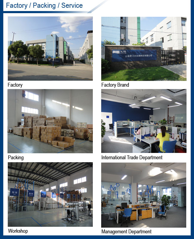Shanghai Martin Factory.jpg