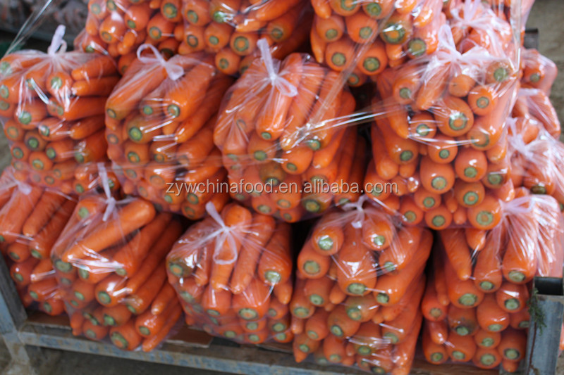2014 High Quality New Corp China Fresh Bulk Carrot