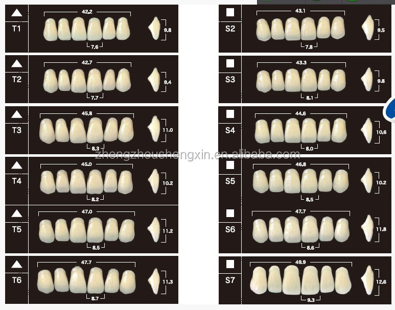 YAMAHACHI New Ace Teeth/ False Teeth
