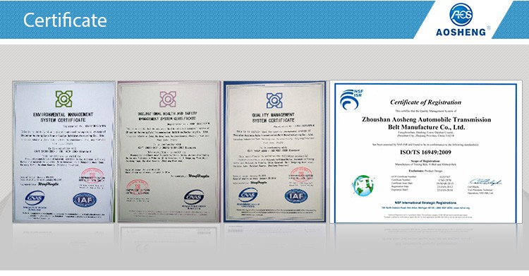 certificate.jpg