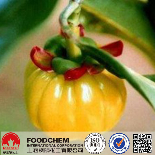 Enlarge Picture · R 39.95, Garcinia Cambogia George, South Africa - Potential Anti-Obesity Agent &