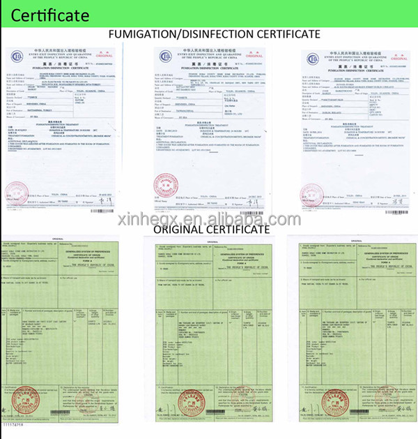 certificate_copy001.jpg