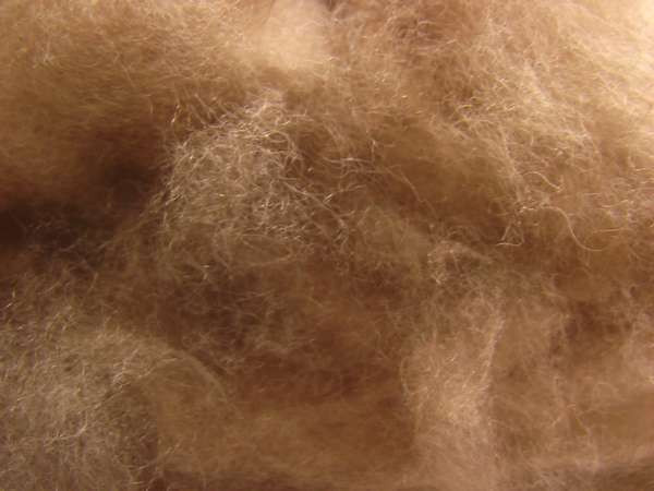 camel hair-5.jpg