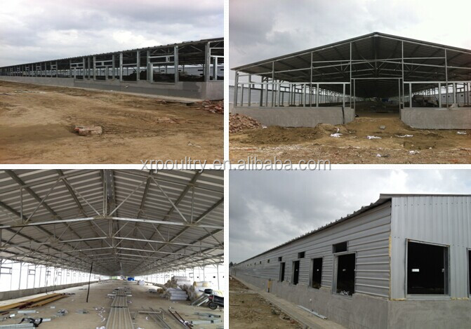 poultry chicken farm house structure construction, View steel 