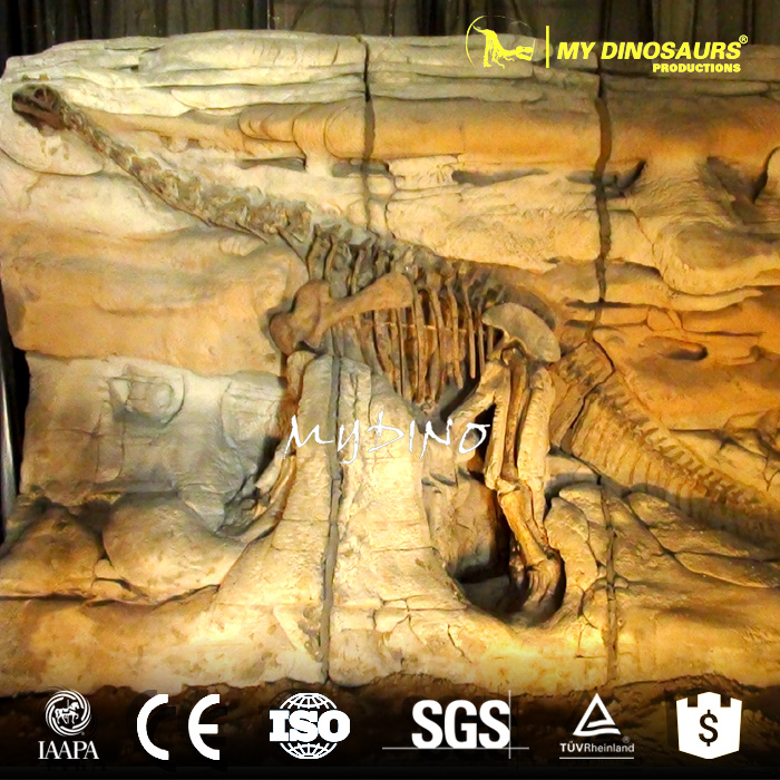 dino fossil wall2.jpg